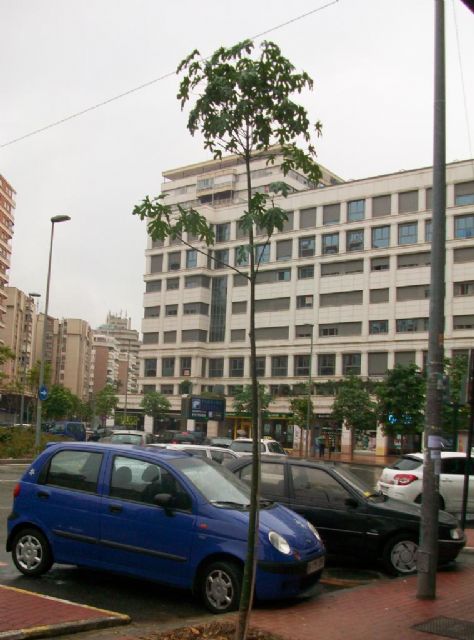 El Servicio de Parques y Jardines elimina más de 500 tocones de árboles situados en aceras y jardines - 1, Foto 1