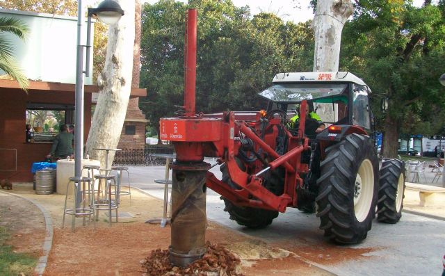 El Servicio de Parques y Jardines elimina más de 500 tocones de árboles situados en aceras y jardines - 2, Foto 2