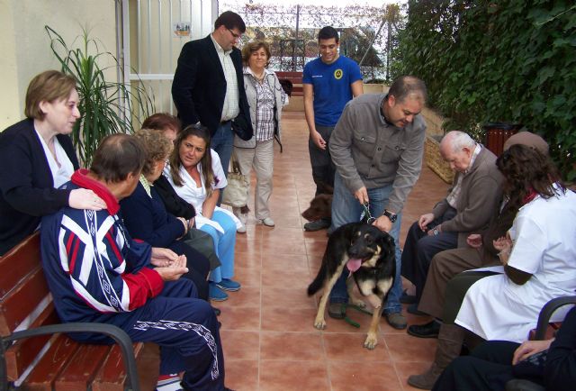 Enfermos de Alzheimer participan en una terapia asistida con perros de Protección Civil - 1, Foto 1