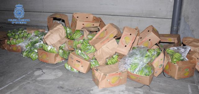 La Policía Nacional interviene más de 550 kilos de cocaína oculta en cajas de banano de primera calidad - 1, Foto 1