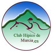 Da comienzo el Campeonato Absoluto de la Región de Murcia 2011 en la disciplina ecuestre de Salto de Obstáculos - 2, Foto 2