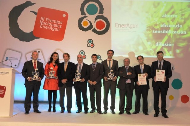Los Premios Nacionales de Energía otorgan tres galardones a proyectos desarrollados en la Región - 1, Foto 1