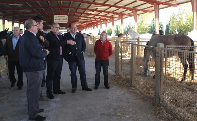 Más de 500 caballos se exhiben en la tradicional Feria de ganado Equino de Puerto Lumbreras - 1, Foto 1