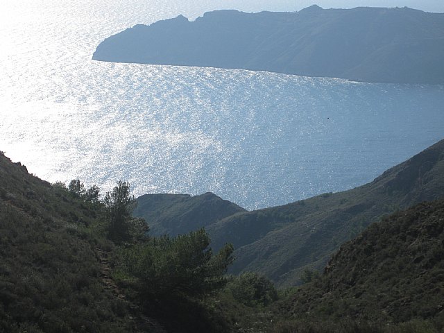 Fin de semana pleno de carreras para los atletas del Club Atletismo Totana - 26