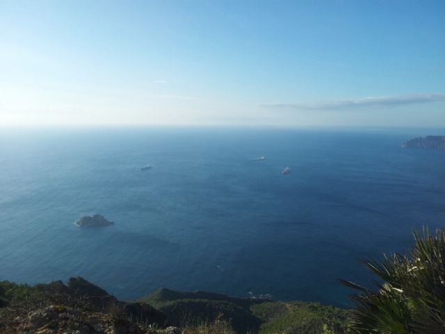 Fin de semana pleno de carreras para los atletas del Club Atletismo Totana - 47