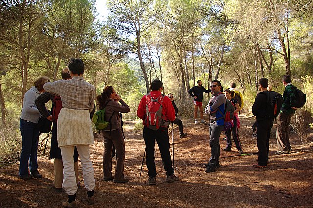 El club senderista de Totana llev a cabo una nueva ruta por el entorno de Sierra Espuña - 7
