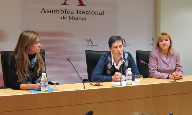 PP: Estos presupuestos son la garantía de la sociedad del bienestar y la apuesta del Gobierno regional por una sanidad más eficiente - 1, Foto 1