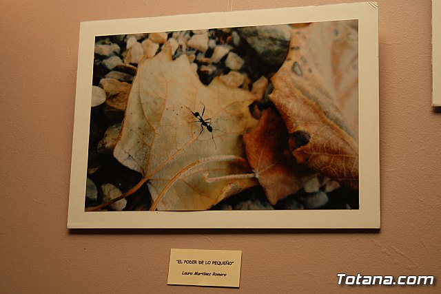 Entrega de premios Certamen Creartejoven2011 en la modalidad de fotografa - 10
