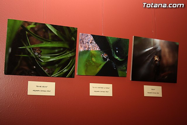 Entrega de premios Certamen Creartejoven2011 en la modalidad de fotografa - 18