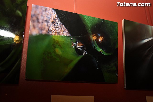 Entrega de premios Certamen Creartejoven2011 en la modalidad de fotografa - 19