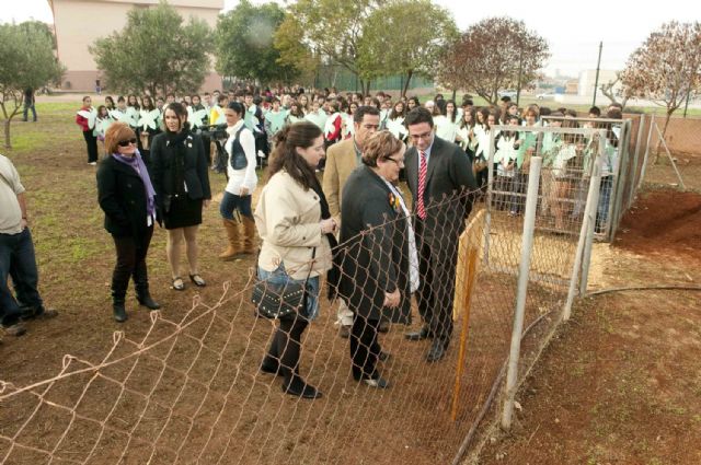 Un árbol, una vida - 3, Foto 3