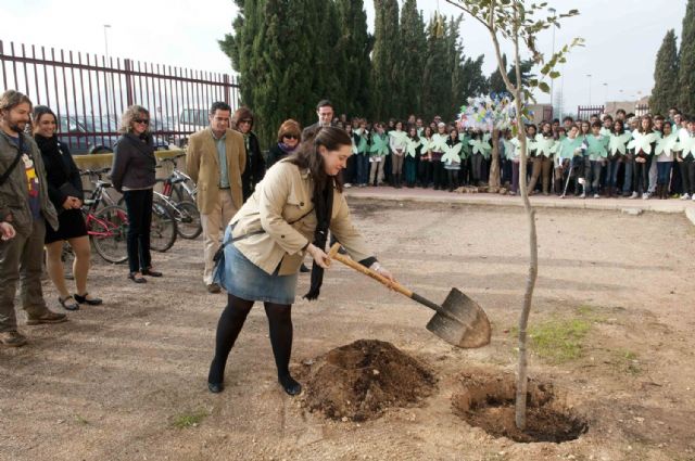 Un árbol, una vida - 4, Foto 4