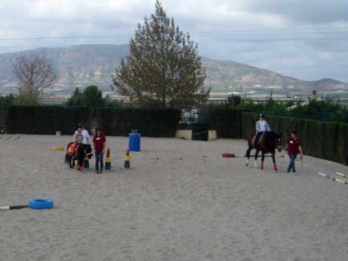 D’Genes participa en la jornada de puertas abiertas de Asociación Murciana de Terapias Ecuestres (AMTE), Foto 2