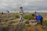 ANSE planta medio millar de rboles en peligro de extincin para solicitar ms proteccin para el Mar Menor