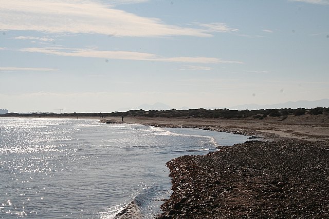 Se busca bar para presentar mociones - 1, Foto 1