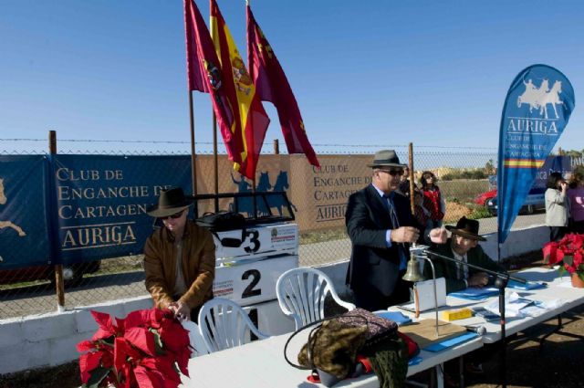 Un cartagenero y un lorquino, primeros en enganche de caballos - 1, Foto 1