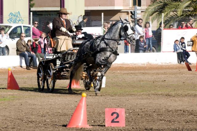 Un cartagenero y un lorquino, primeros en enganche de caballos - 2, Foto 2