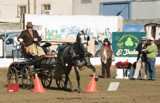 Un cartagenero y un lorquino, primeros en enganche de caballos - 5, Foto 5