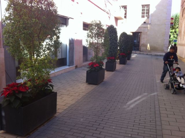 La concejalía de Servicios coloca plantas de pascua y sencillos adornos florales, Foto 1