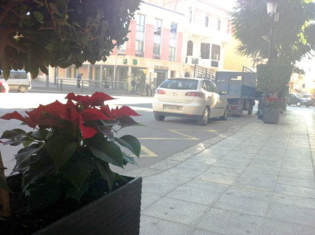 La concejalía de Servicios coloca plantas de pascua y sencillos adornos florales, Foto 2