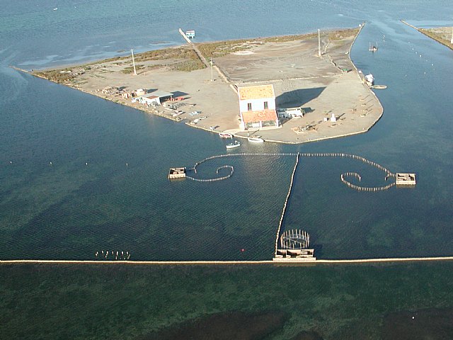 El Parque Regional de las Salinas y Arenales  de San Pedro del Pinatar incluido en la red internacional ´Migratory Birds for People´ - 1, Foto 1