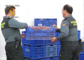 La Guardia Civil detiene a dos personas que habían sustraído una tonelada y media de uva en Totana