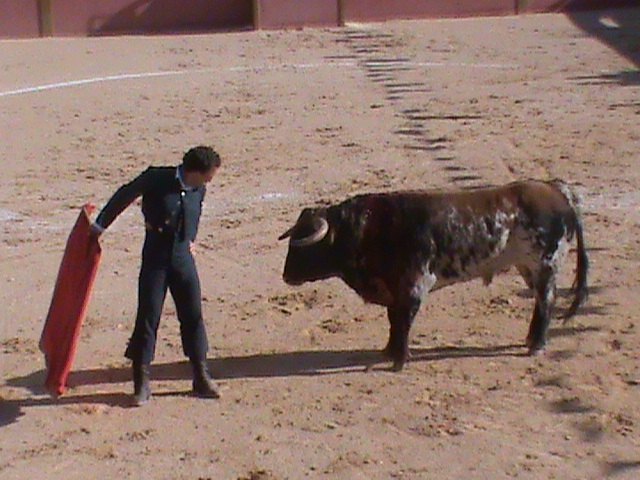 Fiesta campera a beneficio de la asociación ADIVAR - 1, Foto 1