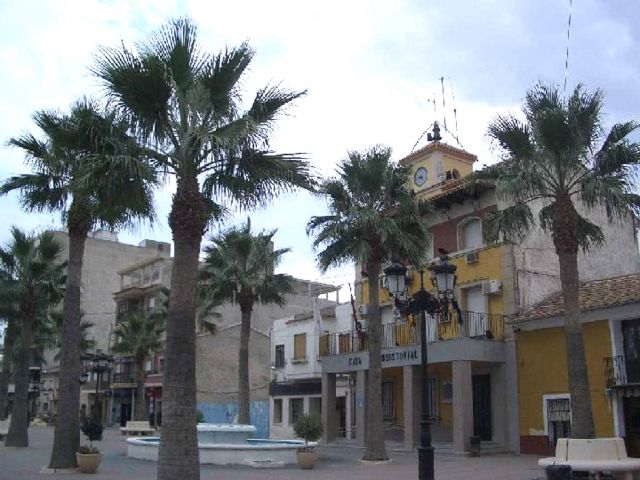 El Ayuntamiento torreño asesora a sus vecinos a hacer frente al picudo rojo - 1, Foto 1