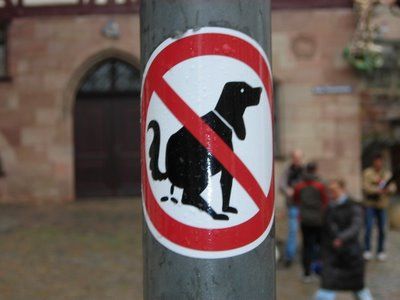 La Policía Local intensifica la vigilancia en cumplimiento de la ordenanza municipal de higiene urbana y tenencia de animales de compañía, Foto 1