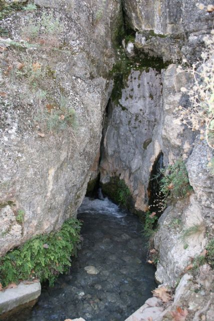 Iniciado un proyecto de adecuación ambiental en la Fuente de las Tosquillas de Barranda - 1, Foto 1