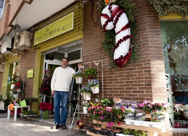 Oasis Floristas gana el Concurso de Escaparates de Navidad 2011 - 2, Foto 2