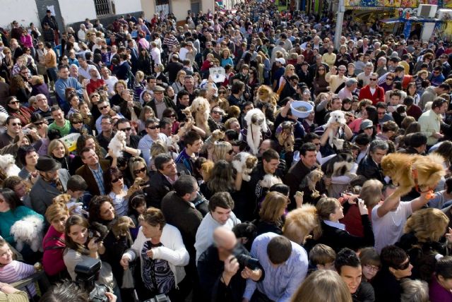 Hasta San Antón, pascuas son - 1, Foto 1