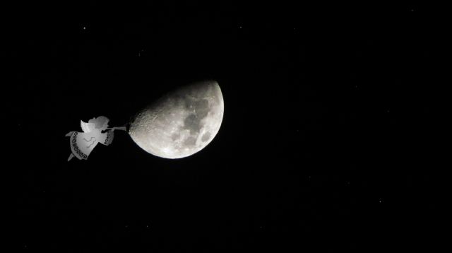 Alfonso Ramrez, ganador de la Maratn Fotogrfica de la Navidad, Foto 2