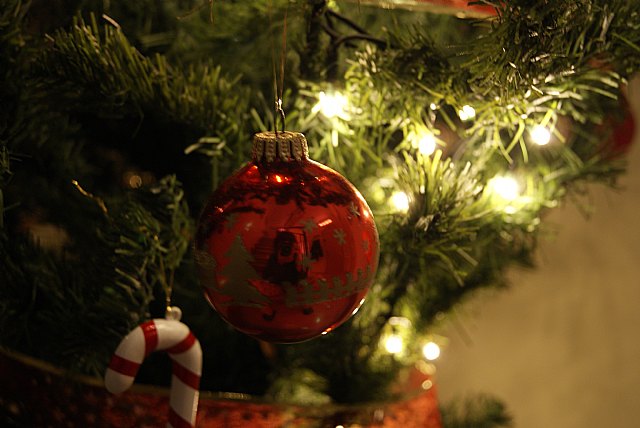 Alfonso Ramrez, ganador de la Maratn Fotogrfica de la Navidad, Foto 4