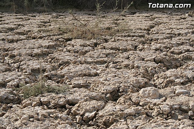 Finalizan los trabajos del proyecto 