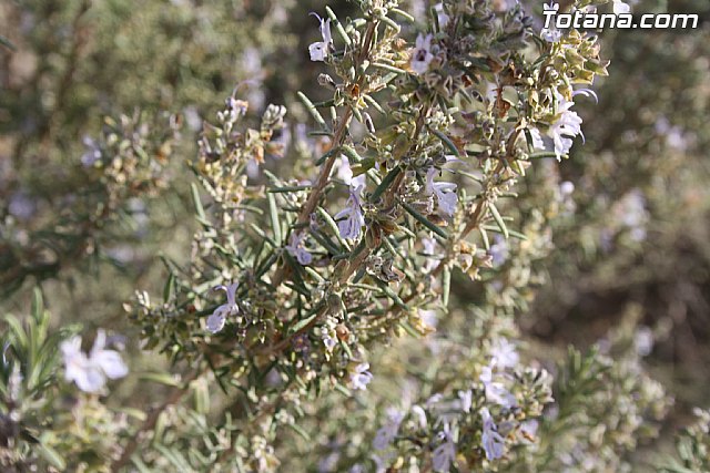 Finalizan los trabajos del proyecto 