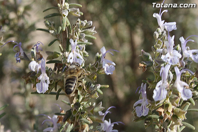 Finalizan los trabajos del proyecto 