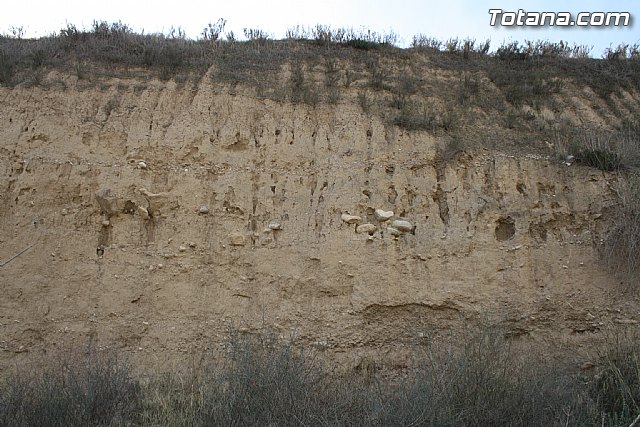 Finalizan los trabajos del proyecto 