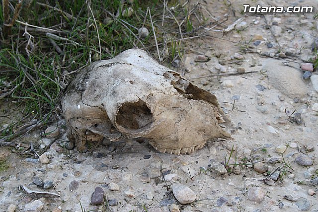 Finalizan los trabajos del proyecto 