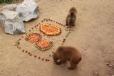 La osa Fabila de Terra Natura Murcia celebra su vigsimo aniversario con una tarta de fruta