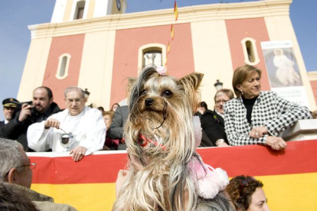 San Antón bendice a los animales - 1, Foto 1