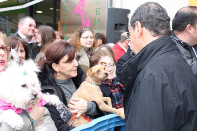 El Alcalde asiste un año más a la tradicional bendición de animales en San Antón - 1, Foto 1
