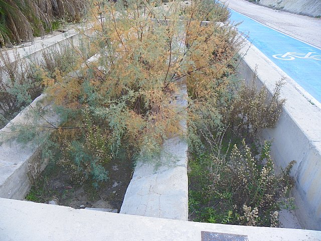 El PSOE de Fortuna denuncia la desidia y dejadez del PP con el patrimonio cultural e histórico de Fortuna - 2, Foto 2