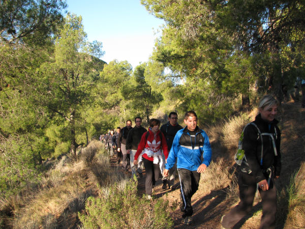 El pasado Domingo 22 de Enero tuvo lugar en el Parque Regional de Sierra Espuña la 7ª 