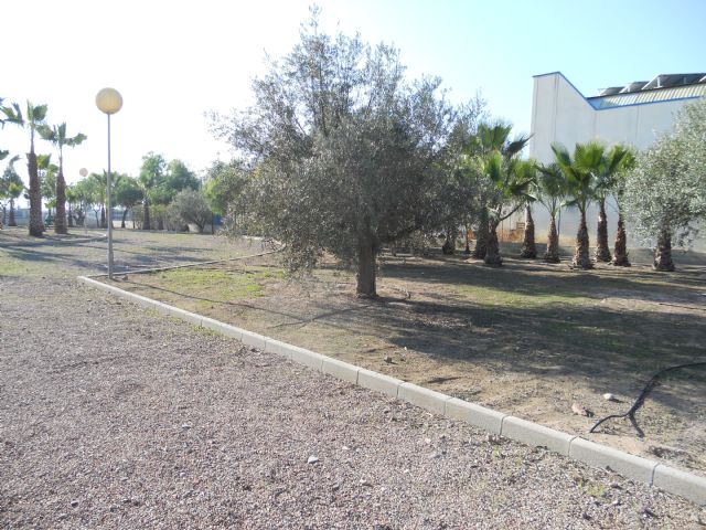 Finalizados los trabajos del plan integral de limpieza, tala y demás cuidados en las zonas verdes del Polígono Industrial El Saladar de Totana, Foto 1