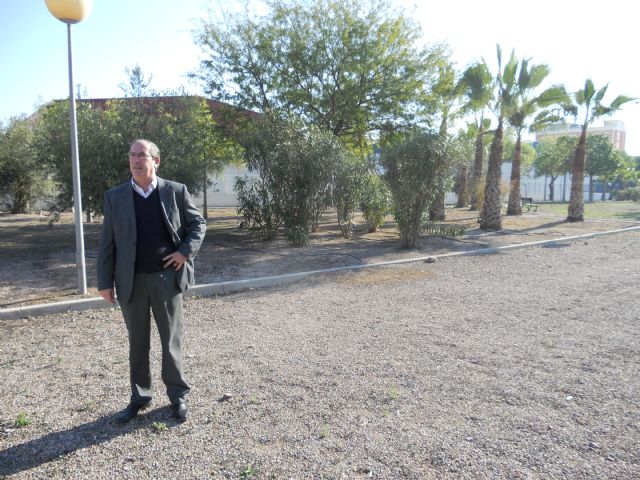 Finalizados los trabajos del plan integral de limpieza, tala y demás cuidados en las zonas verdes del Polígono Industrial El Saladar de Totana, Foto 2