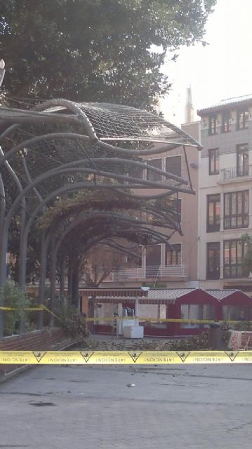 Podan el ficus de Santo Domingo - 1, Foto 1