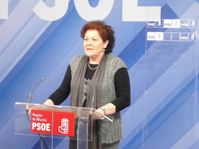 El PSOE exige que se eliminen por injustas las tasas a dependientes, personas con discapacidad y familias numerosas - 1, Foto 1