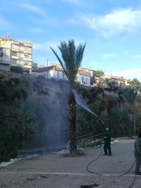 Ruiz participa en una reunión sobre la situación actual del picudo rojo - 1, Foto 1