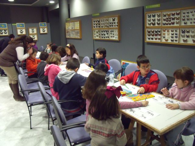 Actividades del museo municipal Jerónimo Molina de etnografia y ciencias de la naturaleza - 1, Foto 1